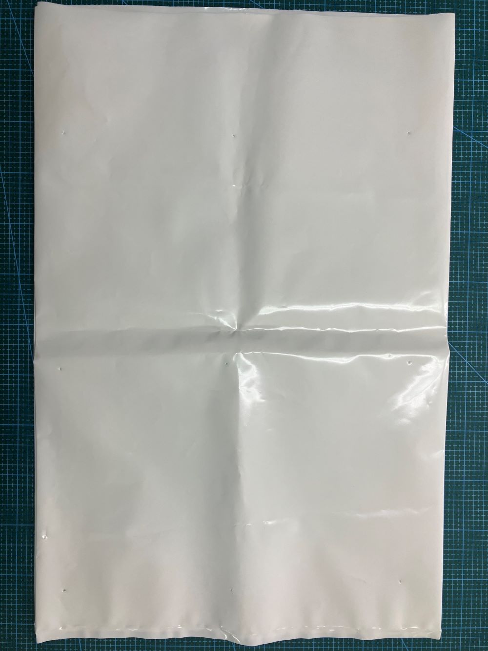 ライスバック ５０